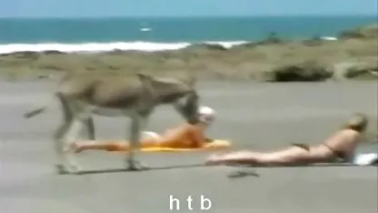 زیبا, آماتور فاک دانلود فیلم xxx رایگان و صورت