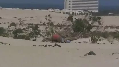 هرگز اعتماد, ته قنداق تفنگ دانلود سکس تارزان بزرگ